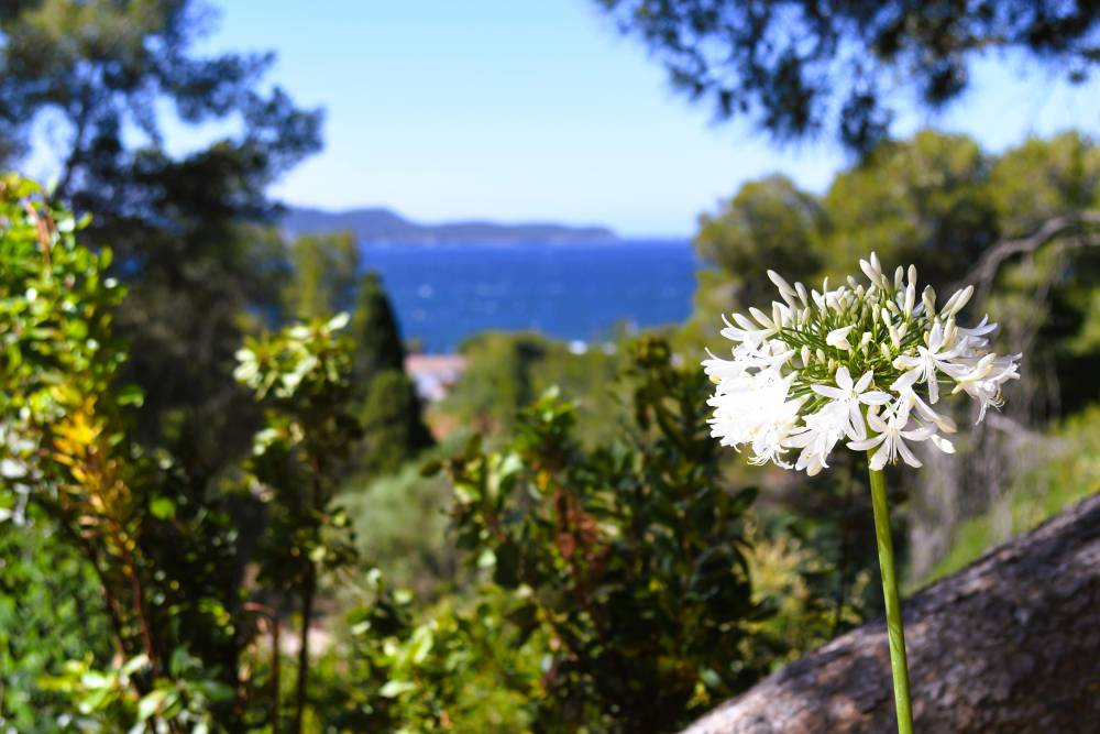 CASTEL BAY 4